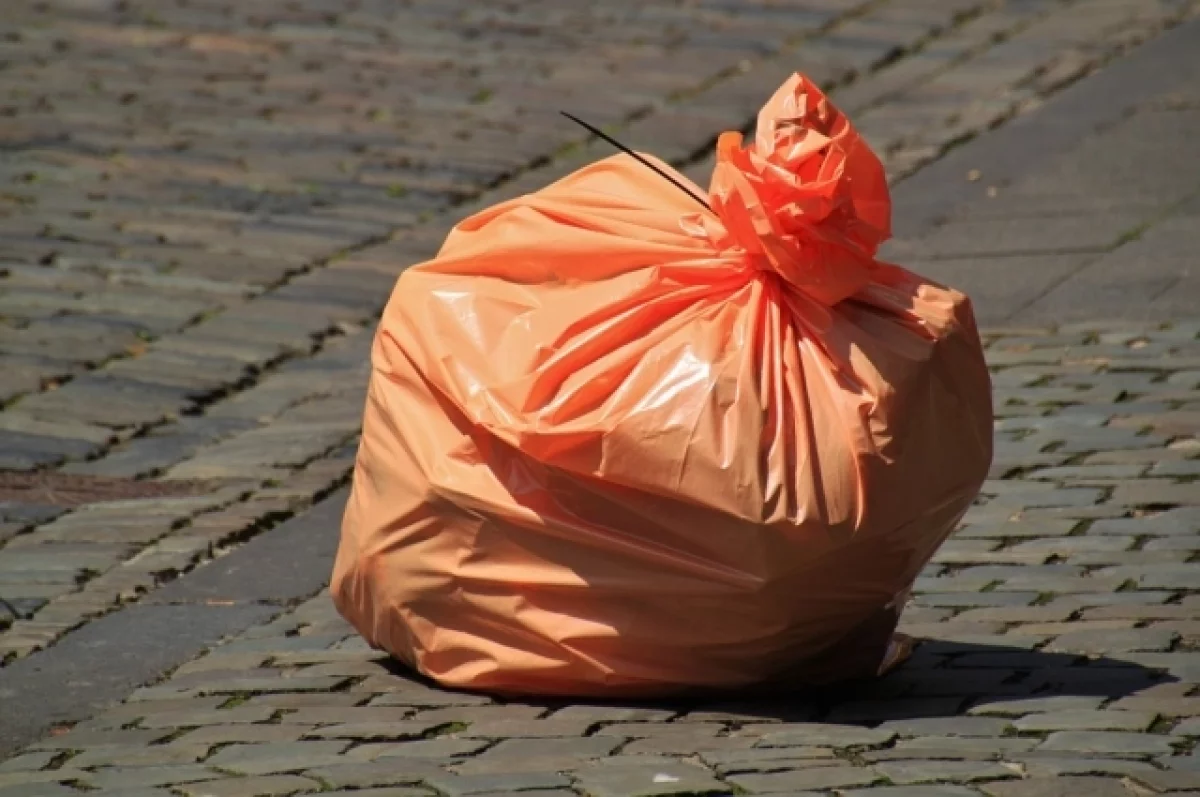 Из-за чего случился мусорный коллапс в Брянске