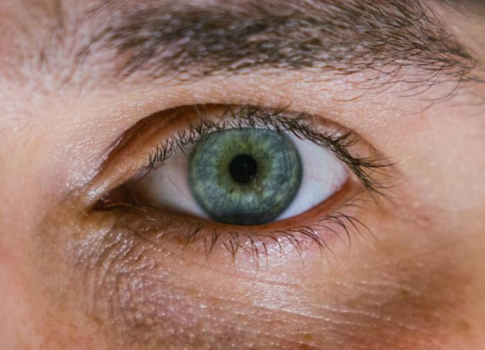 PNAS: моргание усиливает визуальный сигнал, модулируя свет на сетчатке глаза